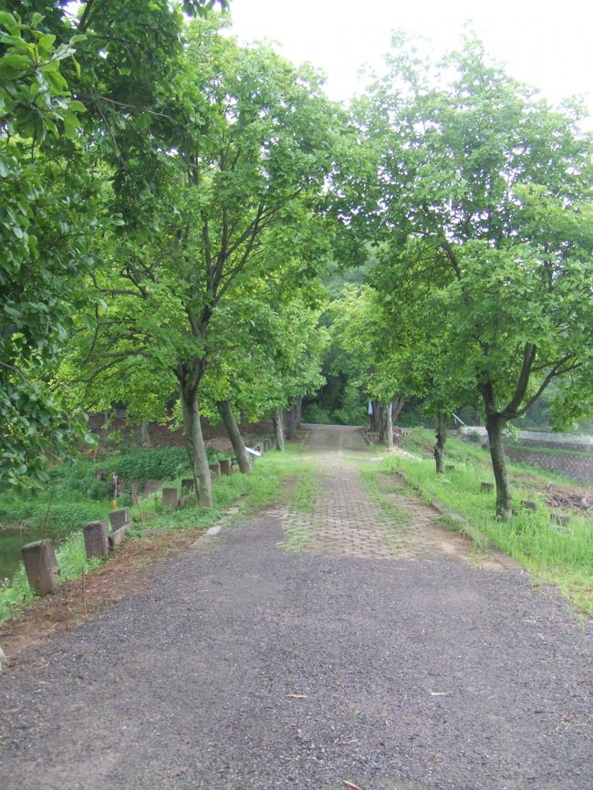 晋陽湖だったかな。<br />ちょっとバスで行ったところです。