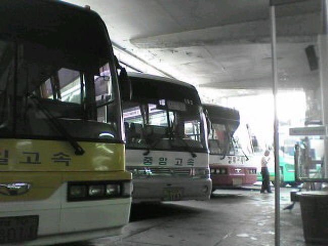 大邱のバスターミナルで、予約したバスを探します。<br />韓国語ができるわけではないので、小学生が一人で祖父母に会いに行くかのような心境。
