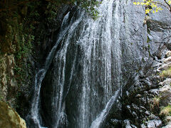 険しい地形と山には大量の降水、と来ているので屋久島にはたくさんの滝があります。まず今日1つ目の滝、布引の滝に到着。神戸にも同じ名前の滝はありますけどね〜