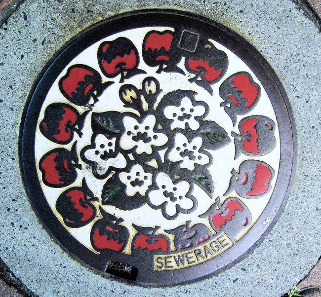 長野・リンゴと林檎の花