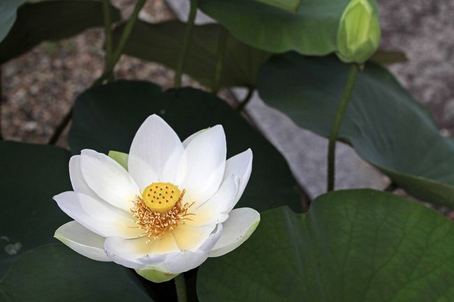 雨上がりの快晴がベスト