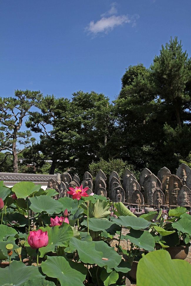 空の色が良かった