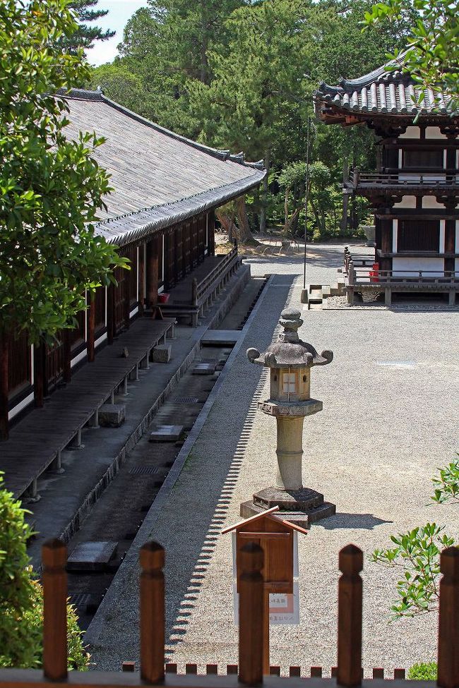 このアングルはええ！！