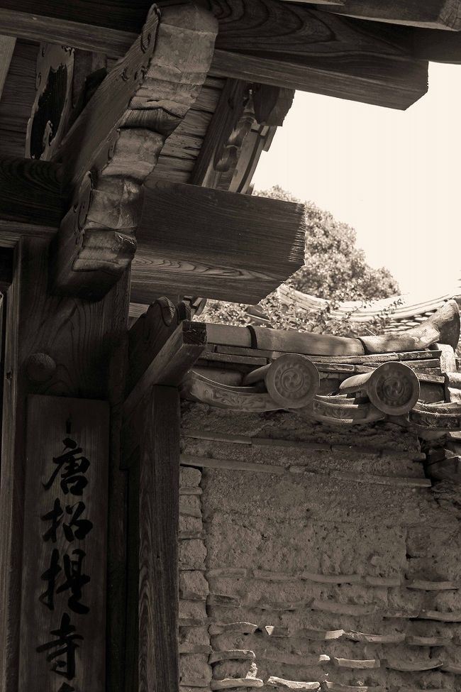 いつの時代に逆行したのでしょうか