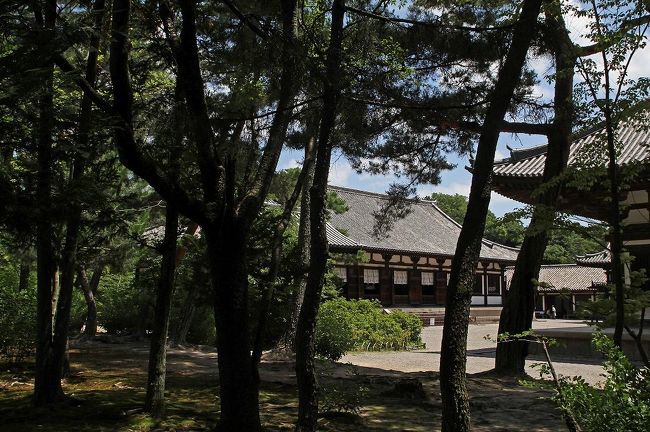 この光景は、絶景です。