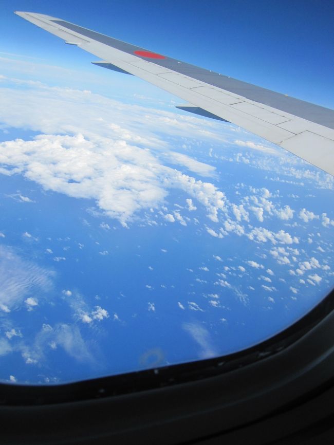 朝になってきた。<br />ハワイはすぐそこ。