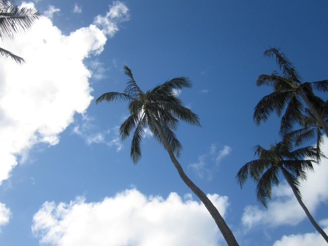 チャペルの外から見上げる。<br />本当に青い空が広がっています。<br /><br />お幸せにね。