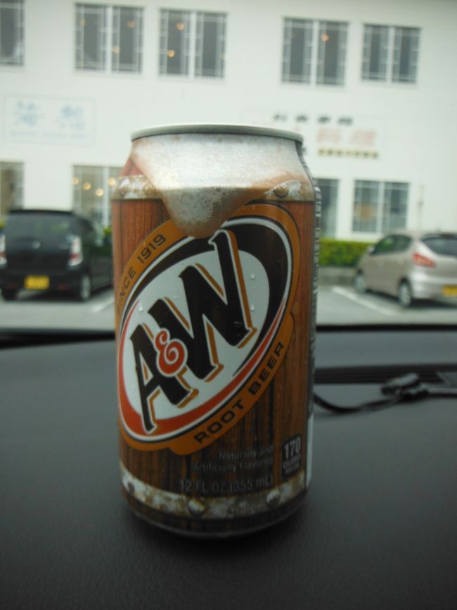 主人のドライブのオトモ（笑）