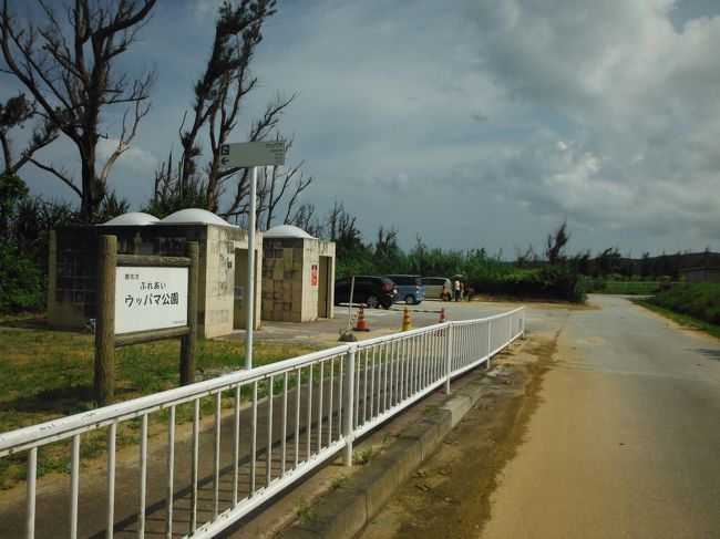 この道の先にビーチあり！