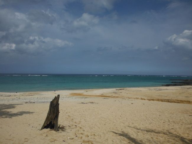 まだ水が冷たく、泳ぐことはできなかった。ウッパマ〜〜