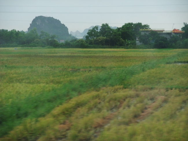 ハロン湾に近づくにつれてちらほら奇岩が見えてきます。<br /><br />途中でバイクに色々な物を乗せて走行する人達に遭遇します。<br />特にびっくりしたのはブタを丸ごと一匹!!荷台に乗せたおばさんでした。<br />あまりのエグさに写真を撮ることができませんでした。<br />もちろん、ぶーちゃんはお亡くなりになってます。