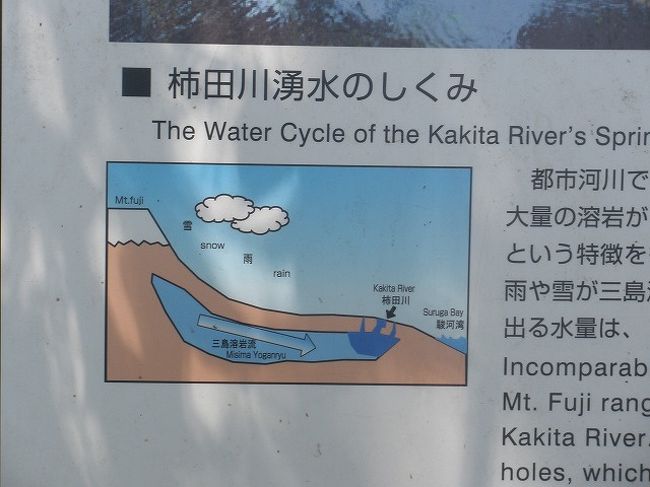 富士山をぐるっと一周 1 柿田川湧水群 富士 静岡県 の旅行記 ブログ By Donkyさん フォートラベル 富士山をぐるっと一周 1 柿田川湧水群 富士 静岡県 の旅行記 ブログ By Donkyさん フォートラベル