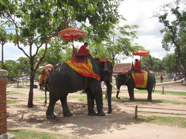 「エレファントキャンプ」を見学。<br />象に乗れるようです。