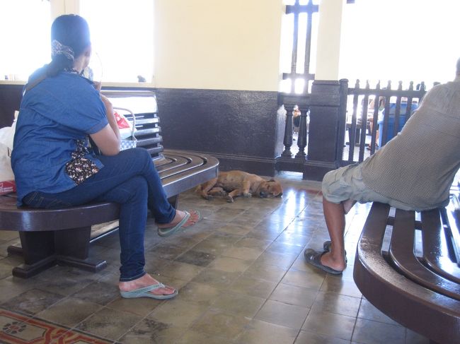 アユタヤ駅に帰ってきました。<br />相変わらず、定刻になっても電車は来ません。<br /><br />アユタヤ駅構内には、数匹の野良犬が寝ていました。<br />きっと、床が冷たくて気持ちいいんだね。