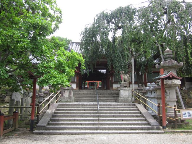 氷室神社<br />駐車場もあり平日早い時間なら比較的すいてます。