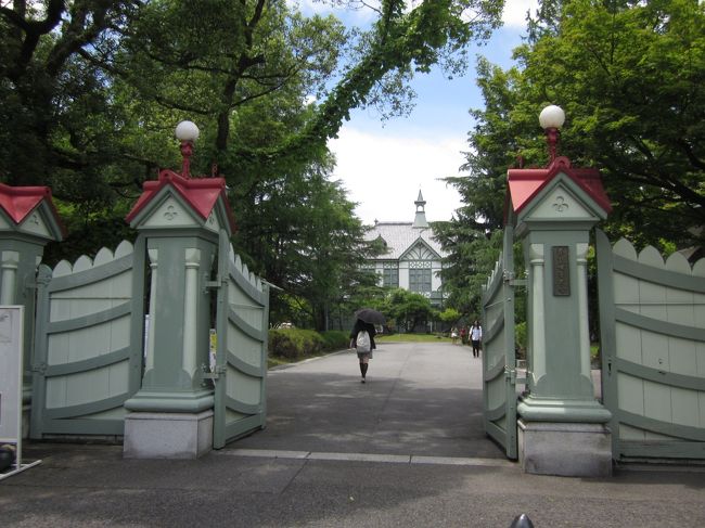 交差点を渡ったら２ブロックほど歩いて奈良女子大のところで左に曲がり南下します。<br />初めて通りましたが女子大の門って可愛いんですね。