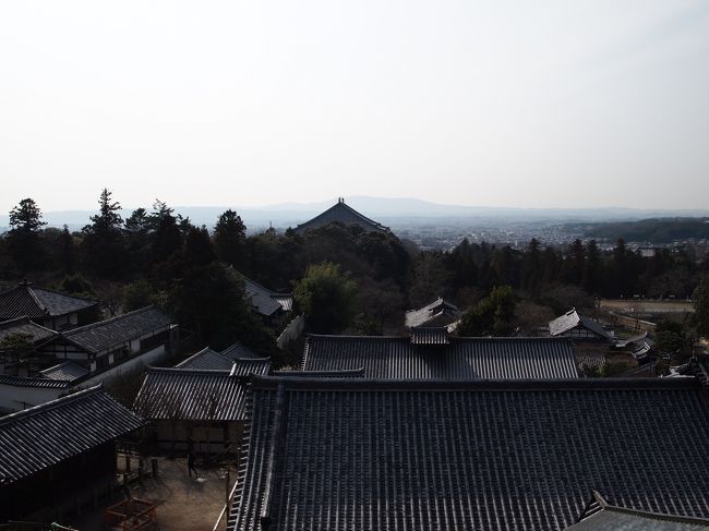 またまた大仏殿を臨む。