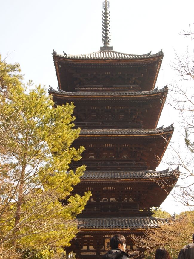 五重塔は特別拝観中。