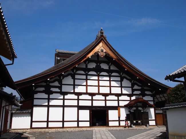 こちらも特別拝観中の妙心寺「大庫裏」<br />ちょうどガイドの方が説明を開始したので参加。<br /><br />大庫裏以外でも、スタッフかボランティアの方がガイドしてくださいました。