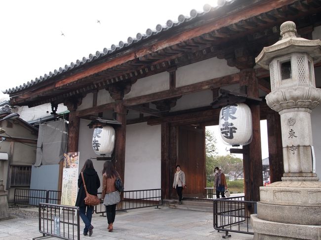 結局、妙心寺から花園駅まで歩き京都駅へ。<br />京都駅到着後、「せっかくだから東寺行く？」と徒歩で東寺へ移動。