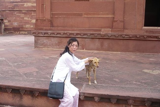 ３日も動物に接しないと、情緒不安定になる。<br />他のツアーお客さんたちの、眉唾な顔を横目に、<br />あ〜なんて痩せちゃってるの、毛もバリバリ。<br />何も食べ物を所持してなくて、ごめんよ。