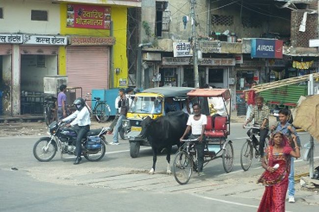 車窓から。<br />今回のベストショットです。<br />これぞインド！