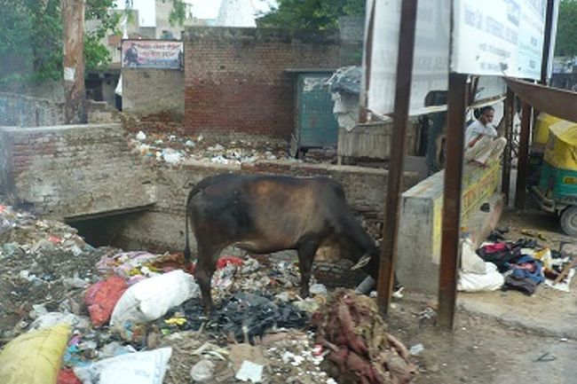 ごみの中に何があるのか、<br />牛も犬もラクダも馬も人も痩せていて、<br />たった３時間半戻った世界に、<br />何百年もタイムスリップしたような怖い気持ちになりました。<br />とにかく今は、無事に帰れて、<br />健康になって良かったと。<br />また一つ、タフになったかな。<br />また感謝の気持ちで（いろんな意味で）いっぱいです。<br />