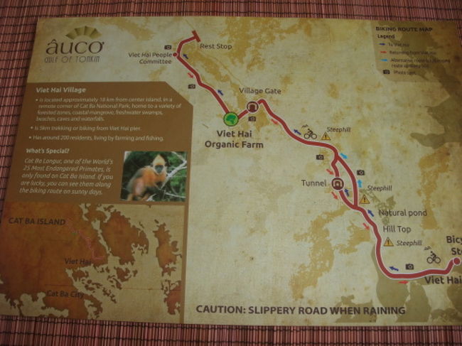 途中の休憩所で飲み物をもらってカットバ島についてアウコー号のガイドさんのお話を聞きます。<br /><br />ここカットバ島には絶滅危惧種のおさるがいるそうです。<br />運が良ければ見られるかも！！だそうです。<br /><br />