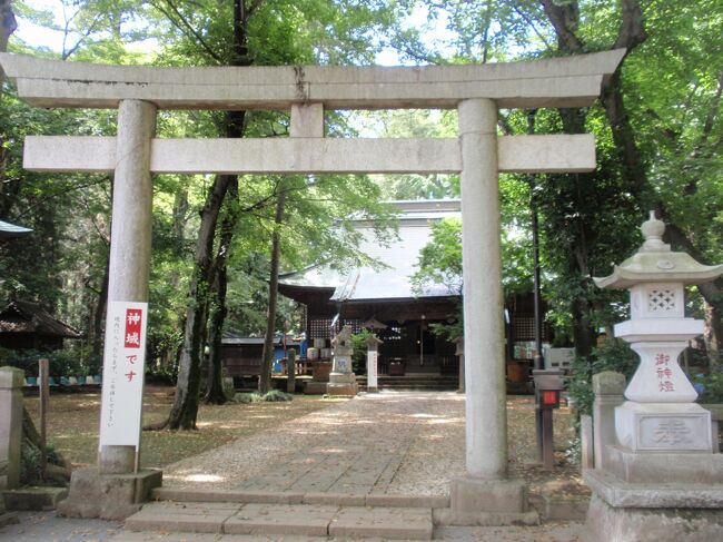 日光街道古道を歩く no7. 野木宿(?)、間々田宿(11)を通り小山宿(12)へ。
