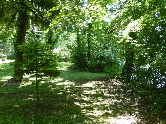 2：00：54<br />子供たちが沈んだ声で＃私のお気に入りを歌っている<br />遠くからジュリー・アンドリュースの声が重なってくる<br />「マリア先生だ！！」<br />感動のシーン<br />レオポルド・クローン宮殿庭園。写真右側が湖です。<br /><br />2013/06/20<br />