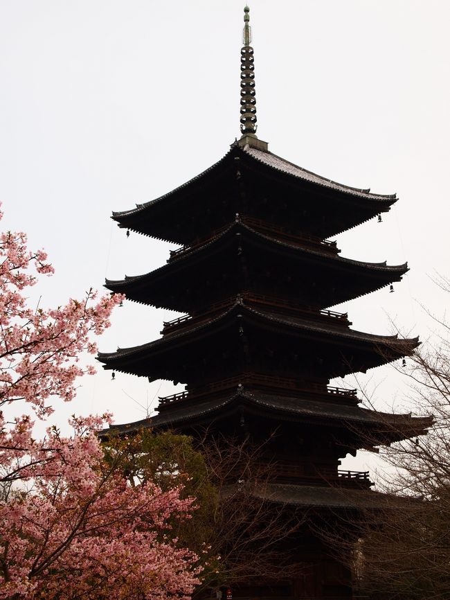 東寺も五重塔初層内部を特別拝観中。<br /><br />金堂の薬師如来像や日光菩薩、月光菩薩、そして十二神将像と迫力満点でした。