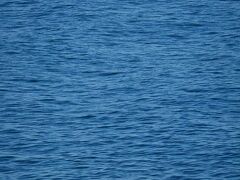 明け方、漁師ですね.....

ホテルの部屋から見える大海に仕掛けた網を引いています....

もしかしてホテルの料理も自己調達？ってことは無いでしょうが..。