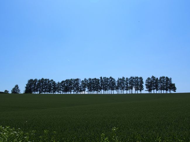 マイルドセブンの丘です。<br />前回はここを探すのが大変だったー。<br />今回はちゃんと学習してます（笑）