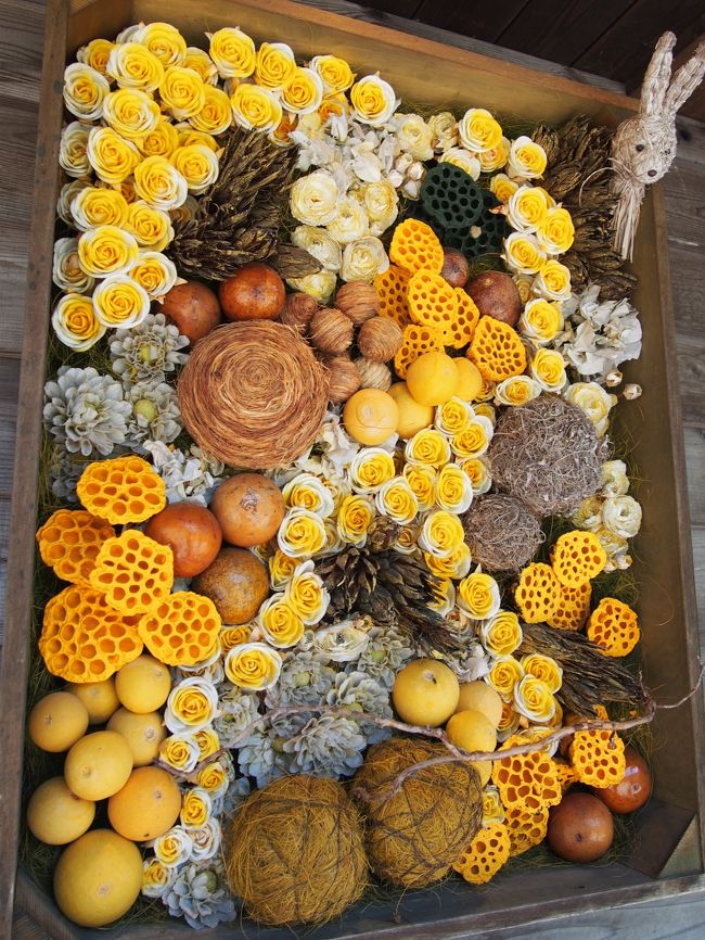 無事にメロンを買って、お隣のファーム富田に行ってきます！<br /><br />ファーム富田の中にドライフラワー館らしきものができてました。<br />これ全部ドライフラワー（フルーツもあるのか？）なんて<br />すごい！