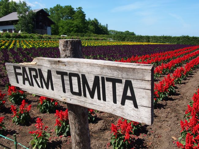 やはり、これを入れないとね。<br />有名な看板（看板が有名なのか？笑）とお花たち。