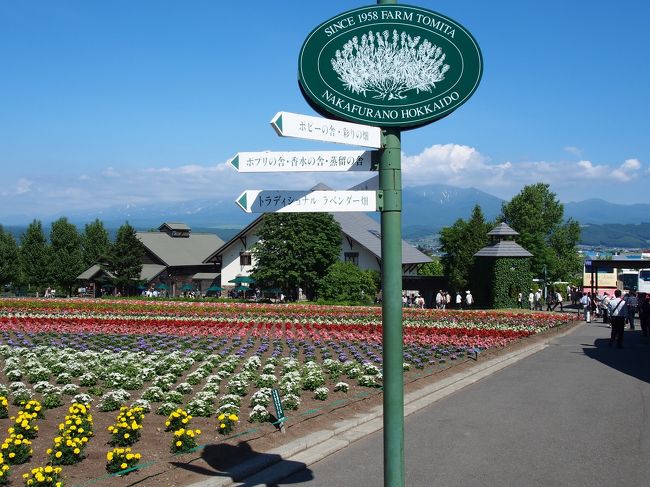 青空と雲とお花たち。<br />人がいなくなるまで結構待ちました（笑）<br />みんなベストショットスポットだからねぇ〜