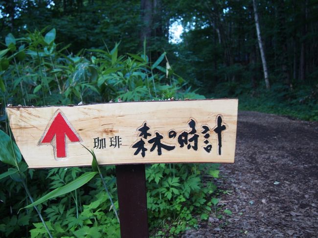 昼食の後、うろうろお買いものをしながらホテルに戻ったら<br />あっという間に５時過ぎてました。<br /><br />う〜ん、ランチを３時ぐらいに食べてるのに、どうしよう？<br />さすがにちゃんとは食べれないよねぇ〜ケーキも買っちゃったし。<br /><br />ってことで、かるーくパンを買って、とりあえずいつものコーヒー屋さんへ。<br />お腹すいたら、またあとで食べればいいかってことで。<br />コーヒーやさんで、のんびりして、また明日に備えますぅ〜。<br /><br />写真はないけど、この夜は見事な星空。<br />いつまでも見ていられそうな感じでした。<br />この星空を見るのも、ここに来る目的の一つ（＾＾）