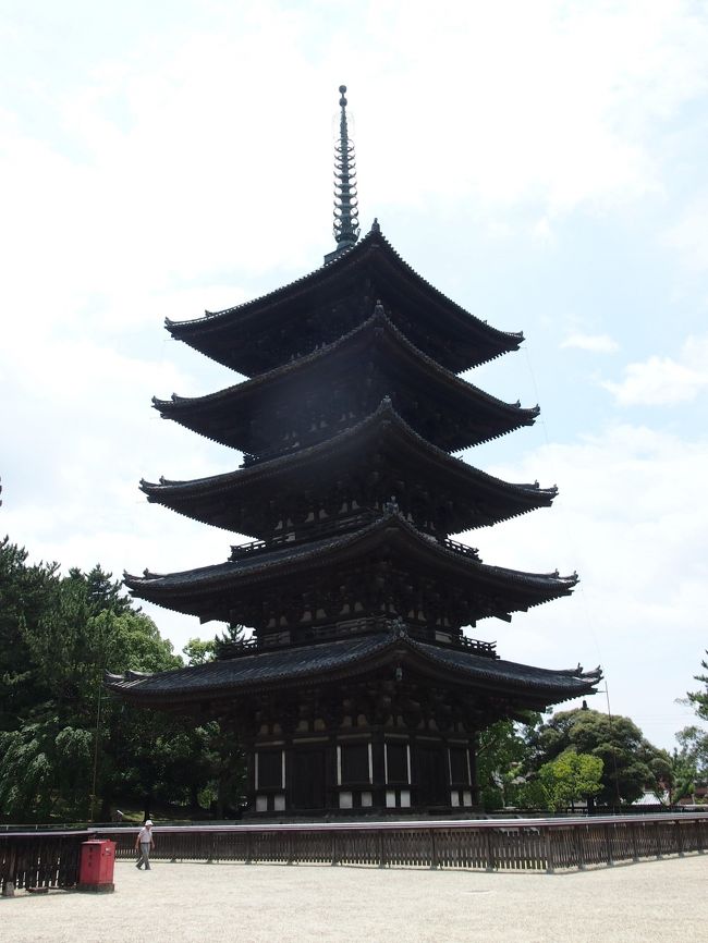 自宅を出てから約3時間<br />奈良に到着です<br /><br />まずは興福寺<br />逆光