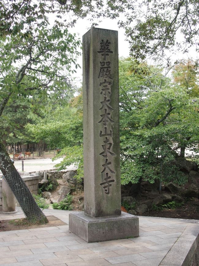 興福寺に車を止めたまま東大寺へ