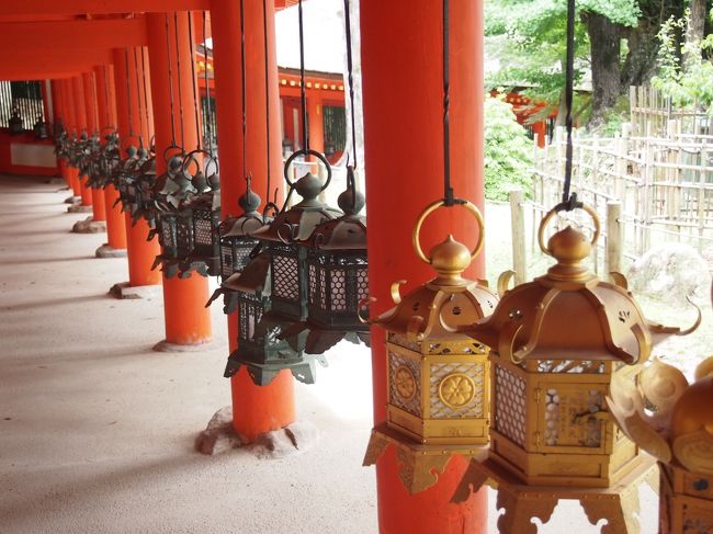 東回路の釣灯籠<br />