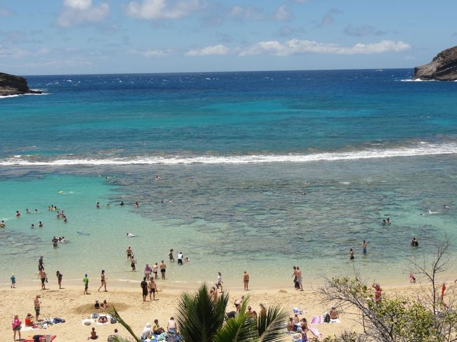 狭い場所なのですぐに飽きてしまう。人も多くなってきたので適当に引き払う。