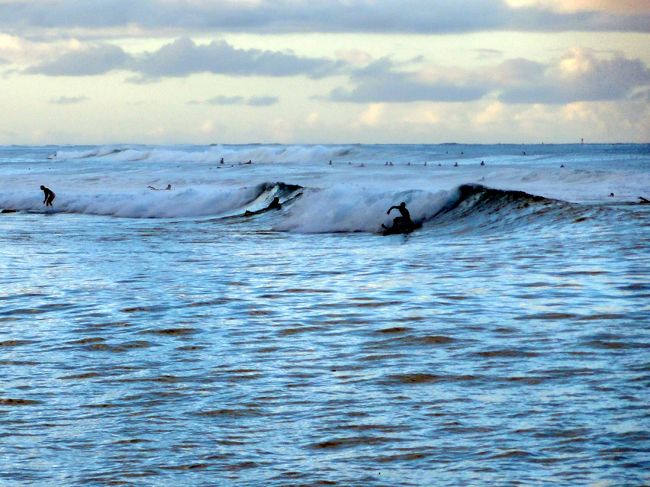 最後の朝、名残を惜しんで再度ジョギング。今回はアラモアナ公園近辺。早朝なのにサーファー達はもう波と戯れていた。