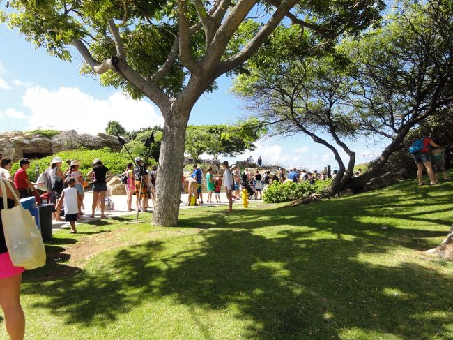 翌日は、昨日行けなかったハナウマ湾へバスで行く。ワイキキ始発のバスで40分弱。昨日昼食を食べた店からは国道をずっと通ることになるので、自転車だとちょっとこわかったかも。10時前についたにもかかわらず、チケット売り場でだいぶ待たされた。