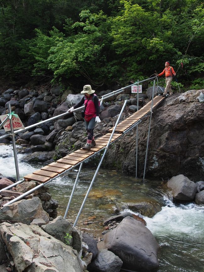 吊り橋もあったが、登りやすい山だった。