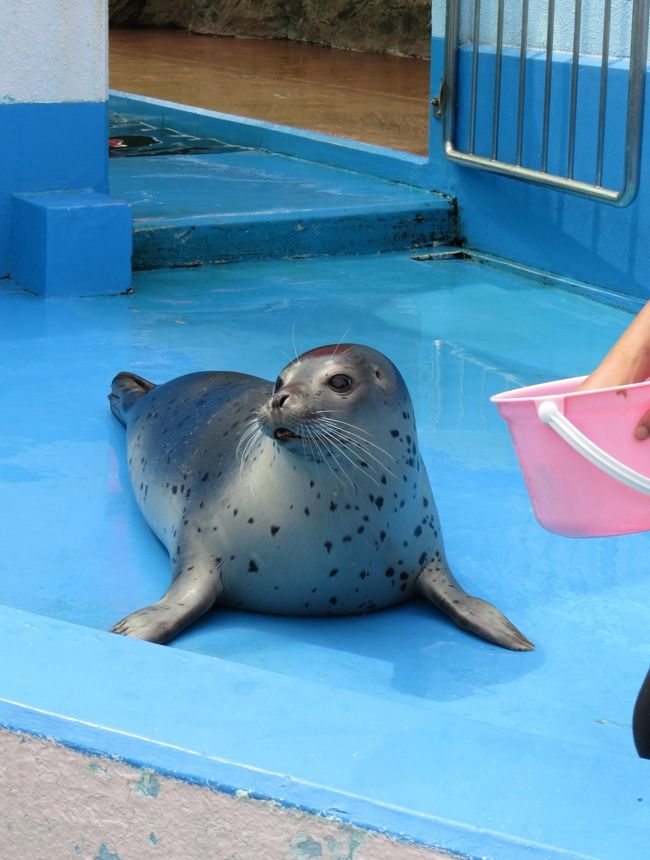 二見シーパラダイス おつかれさま、ありがとう、飼育下最後の