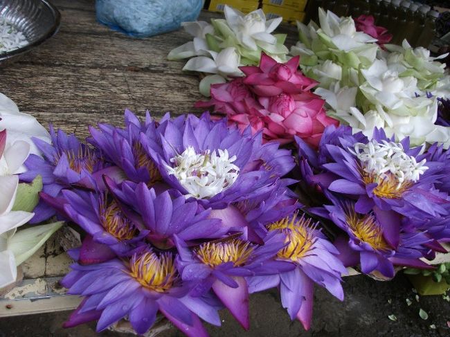 キャンディ<br />スリランカ政府観光局近くでお供え用の花が売られていた。