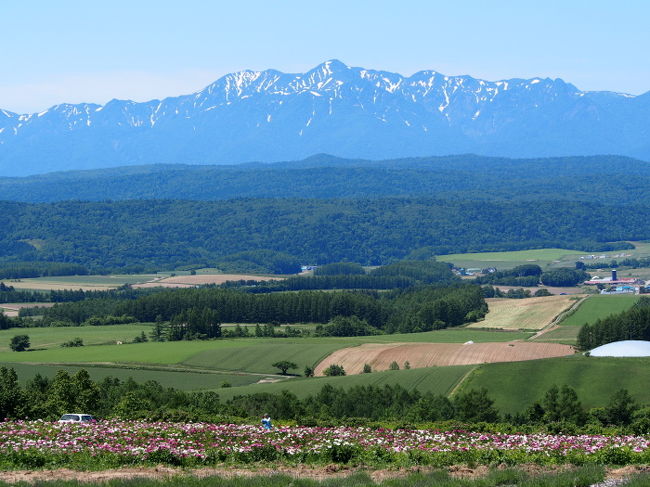 この展望台から見える山景色です