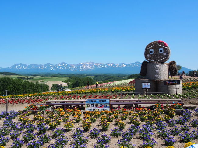 嵐の木に後ろ髪をひかれつつ、次は四季彩の丘へ。<br />初日まわって「ここらへんなら花咲いてるかな〜」と<br />この場所とファーム富田を考えていたんです。<br /><br />まだまだ背丈は低めですが、ほかの場所よりはいろんな<br />お花が咲いてましたよ。<br />１週間後の日程で書かれた旅行記を拝見させてもらいましたが<br />その時点はもっとお花が咲いてました。<br />数日って大きいですねぇ〜<br />