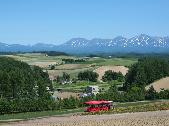 この四季彩の丘では大型トラクターでぐるっと<br />回ってくれます<br />そうしないと、結構斜度ありますよ（笑）