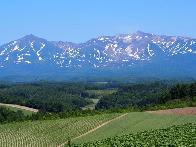 ほんとに今回はお天気がよくって。<br />すごくラッキーでした。<br /><br />カメラの方はレンズを取り換える回数が多くて<br />大変でしたが・・・（笑）